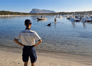 Barche ormeggiate abusivamente a Cala Brandinchi. Due aziende sanzionate