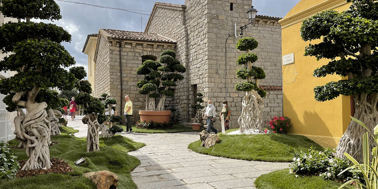 Ad Arzachena ritornano i colori di “Estate in fiore”